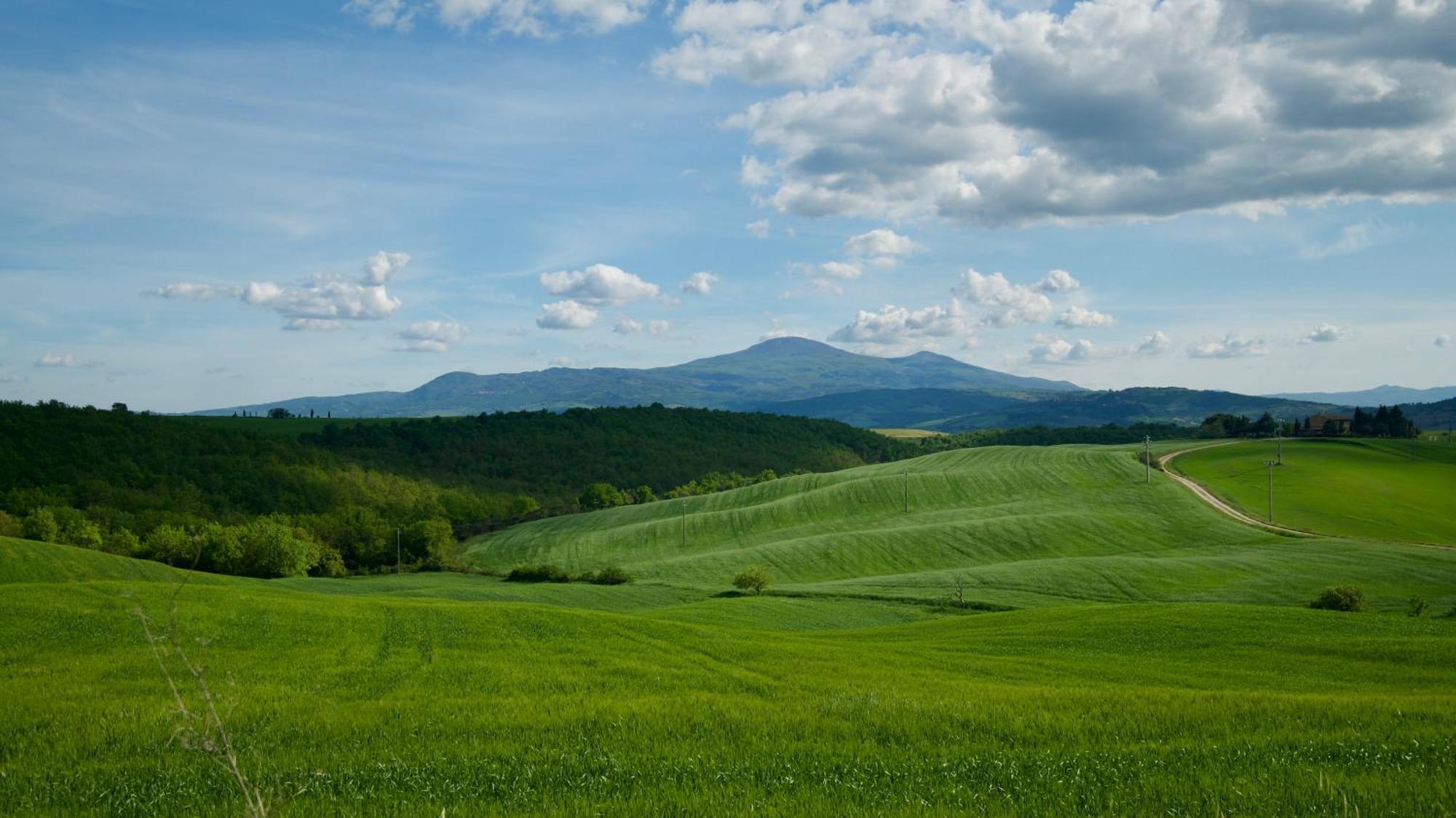 Il Melograno - *